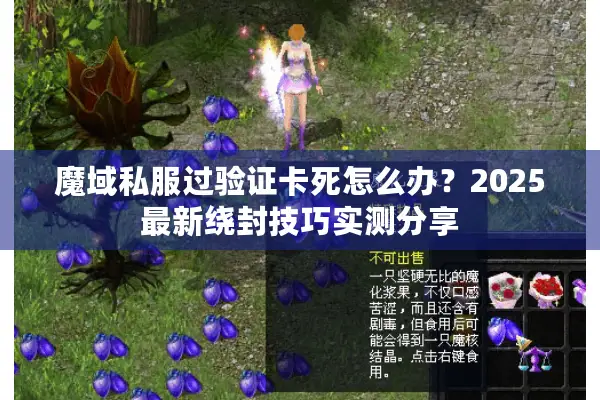 魔域私服过验证卡死怎么办？2025最新绕封技巧实测分享
