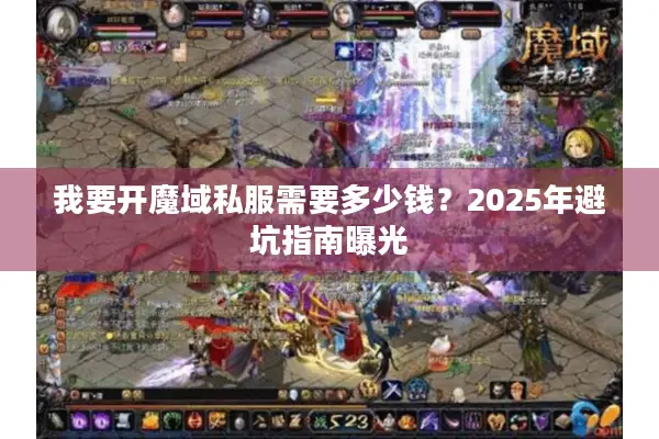 我要开魔域私服需要多少钱？2025年避坑指南曝光