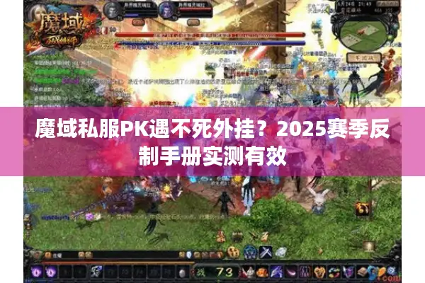 魔域私服PK遇不死外挂？2025赛季反制手册实测有效