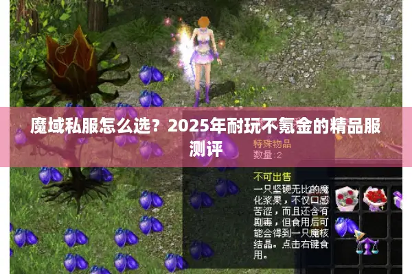 魔域私服怎么选？2025年耐玩不氪金的精品服测评