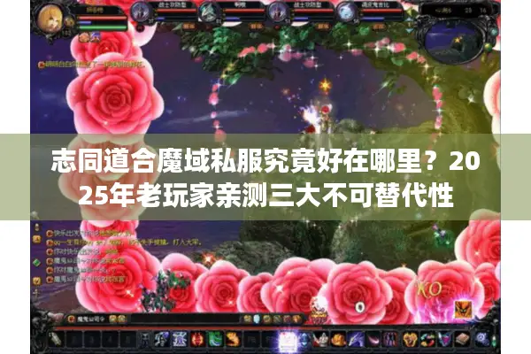 志同道合魔域私服究竟好在哪里？2025年老玩家亲测三大不可替代性