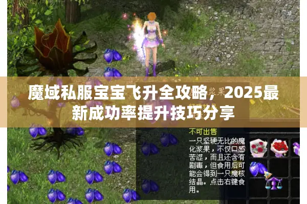 魔域私服宝宝飞升全攻略，2025最新成功率提升技巧分享