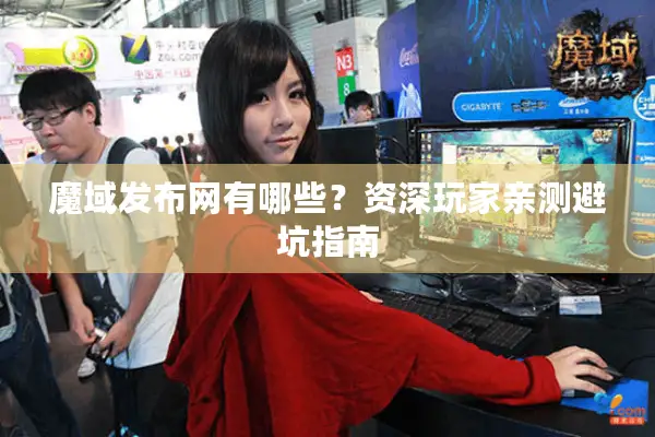 魔域发布网有哪些？资深玩家亲测避坑指南