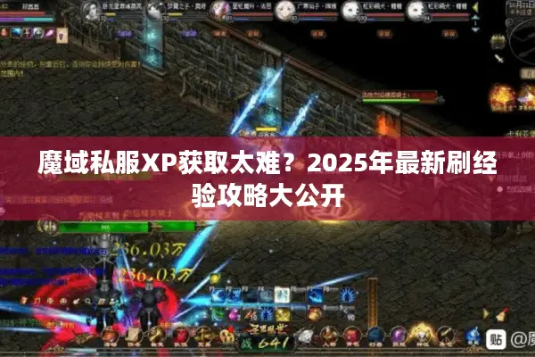 魔域私服XP获取太难？2025年最新刷经验攻略大公开