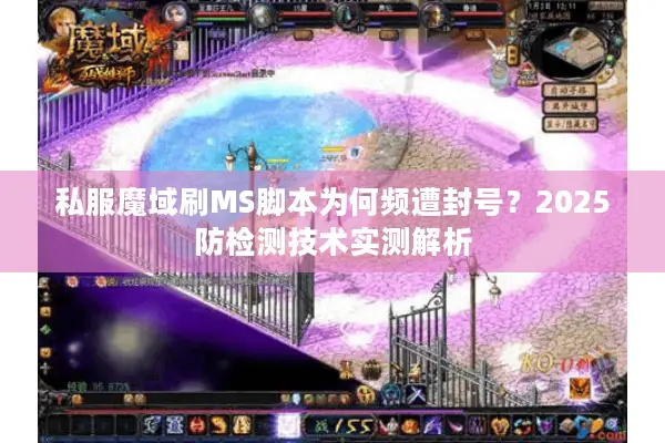 私服魔域刷MS脚本为何频遭封号？2025防检测技术实测解析