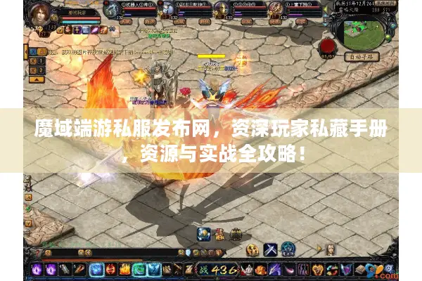 魔域端游私服发布网，资深玩家私藏手册，资源与实战全攻略！