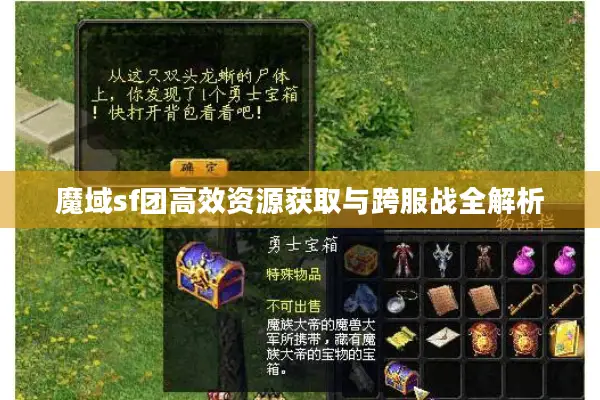 魔域sf团高效资源获取与跨服战全解析