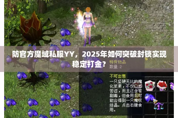 防官方魔域私服YY，2025年如何突破封锁实现稳定打金？