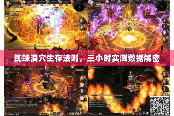 蜘蛛洞穴生存法则,三小时实测数据解密 蜘蛛洞穴生存法则,三小时实测数据解密