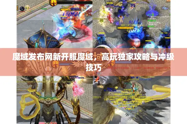 魔域发布网新开服魔域，高玩独家攻略与冲级技巧