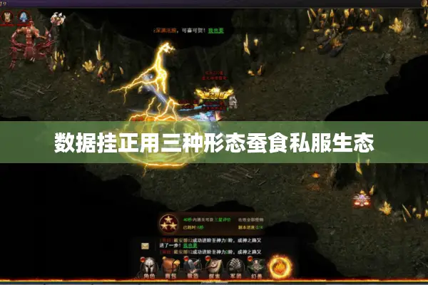 数据挂正用三种形态蚕食私服生态 数据挂正用三种形态蚕食私服生态