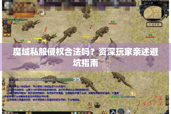 魔域私服侵权合法吗？资深玩家亲述避坑指南