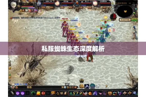 私服蜘蛛生态深度解析