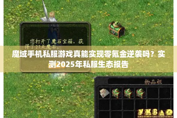 魔域手机私服游戏真能实现零氪金逆袭吗？实测2025年私服生态报告