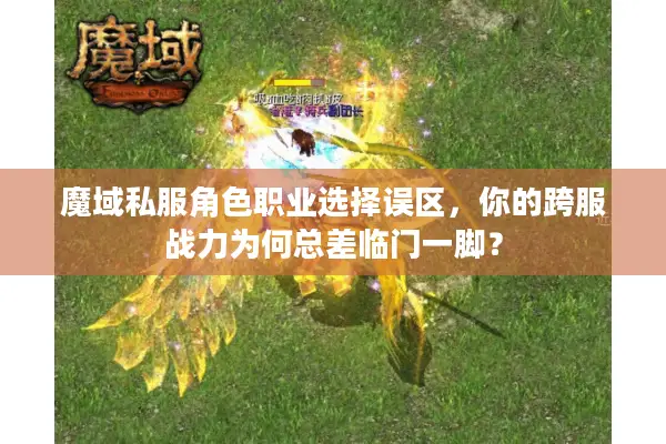 魔域私服角色职业选择误区，你的跨服战力为何总差临门一脚？