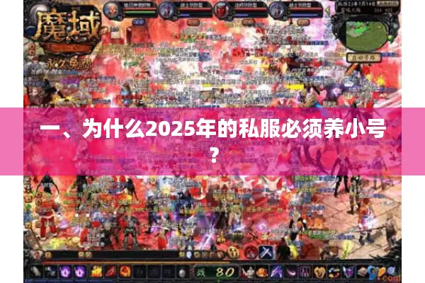 一、为什么2025年的私服必须养小号? 一、为什么2025年的私服必须养小号?