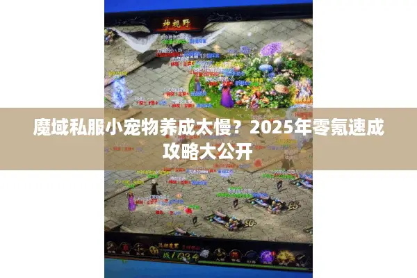魔域私服小宠物养成太慢？2025年零氪速成攻略大公开