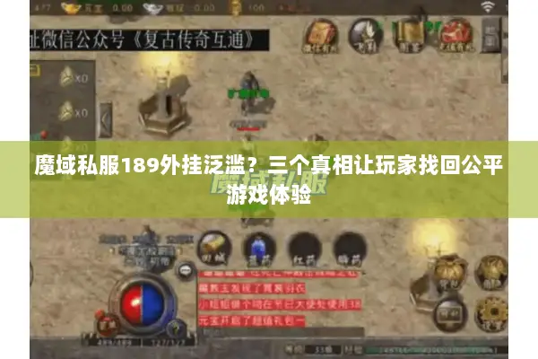 魔域私服189外挂泛滥？三个真相让玩家找回公平游戏体验