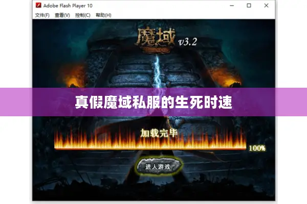 真假魔域私服的生死时速