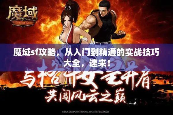魔域sf攻略，从入门到精通的实战技巧大全，速来！