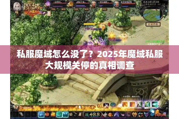 私服魔域怎么没了？2025年魔域私服大规模关停的真相调查