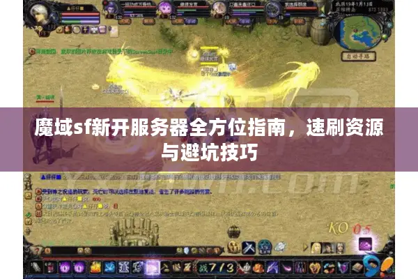 魔域sf新开服务器全方位指南，速刷资源与避坑技巧