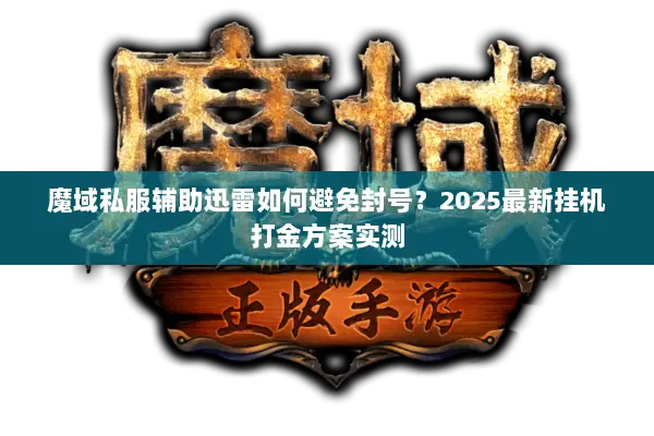 魔域私服辅助迅雷如何避免封号？2025最新挂机打金方案实测
