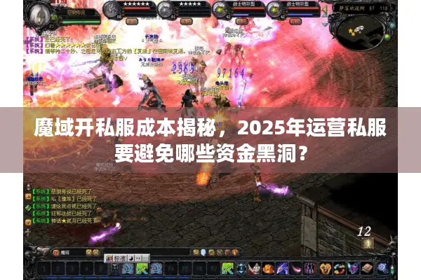 魔域开私服成本揭秘，2025年运营私服要避免哪些资金黑洞？