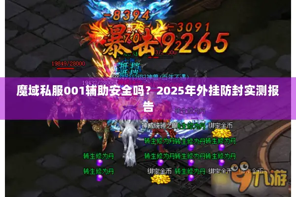 魔域私服001辅助安全吗？2025年外挂防封实测报告