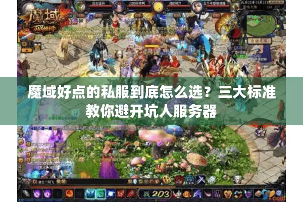 魔域好点的私服到底怎么选？三大标准教你避开坑人服务器