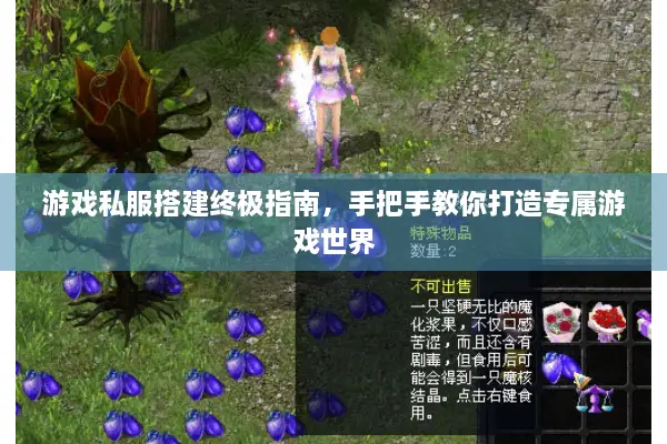 游戏私服搭建终极指南，手把手教你打造专属游戏世界