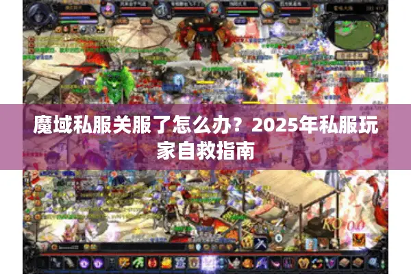 魔域私服关服了怎么办？2025年私服玩家自救指南