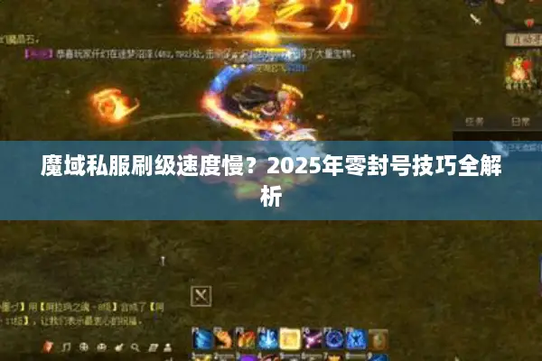 魔域私服刷级速度慢？2025年零封号技巧全解析