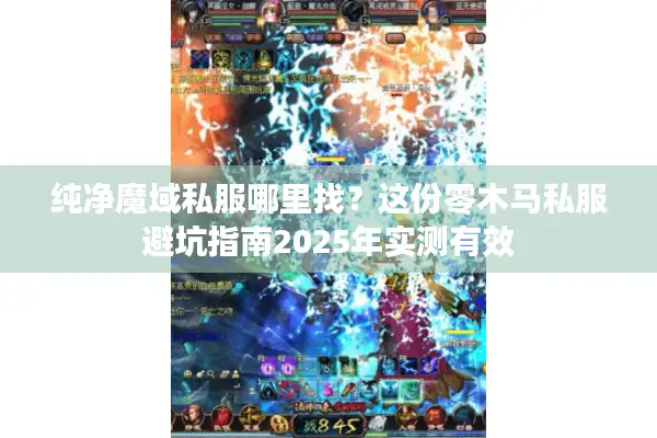 纯净魔域私服哪里找？这份零木马私服避坑指南2025年实测有效