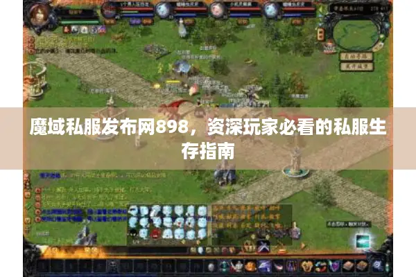 魔域私服发布网898，资深玩家必看的私服生存指南