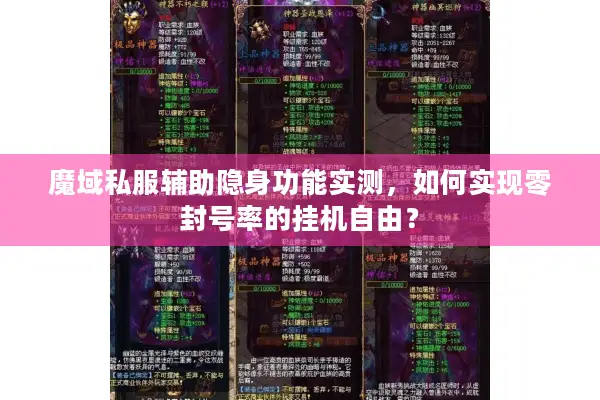 魔域私服辅助隐身功能实测，如何实现零封号率的挂机自由？