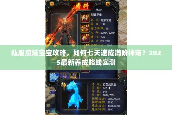 私服魔域宝宝攻略，如何七天速成满阶神宠？2025最新养成路线实测