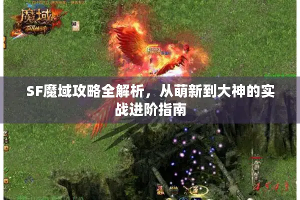 SF魔域攻略全解析,从萌新到大神的实战进阶指南 SF魔域攻略全解析,从萌新到大神的实战进阶指南