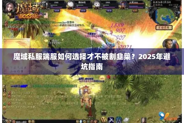 魔域私服端服如何选择才不被割韭菜？2025年避坑指南
