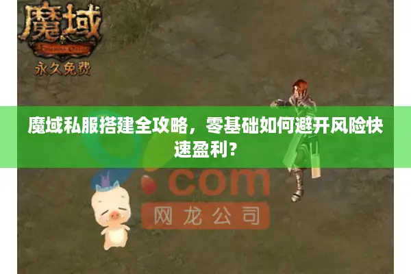 魔域私服搭建全攻略，零基础如何避开风险快速盈利？