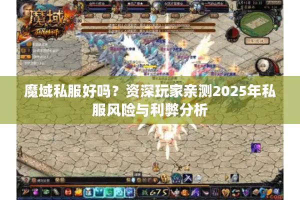 魔域私服好吗？资深玩家亲测2025年私服风险与利弊分析