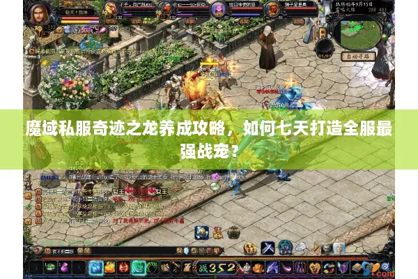 魔域私服奇迹之龙养成攻略，如何七天打造全服最强战宠？