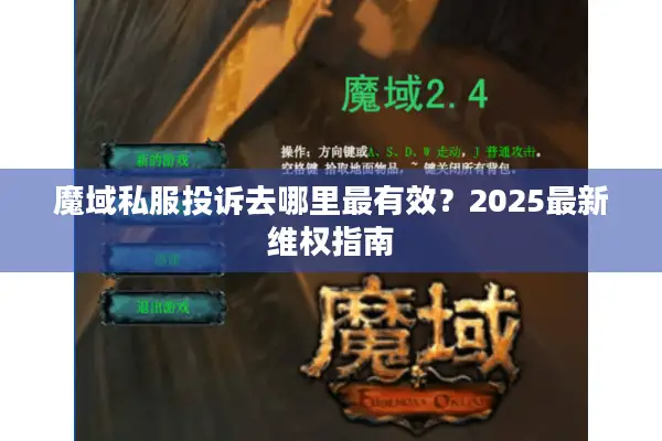 魔域私服投诉去哪里最有效？2025最新维权指南