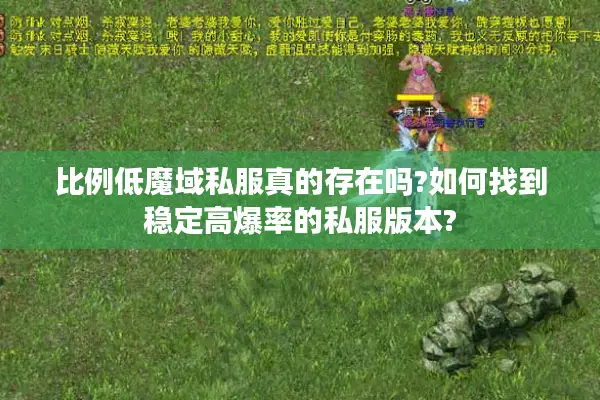 比例低魔域私服真的存在吗?如何找到稳定高爆率的私服版本?