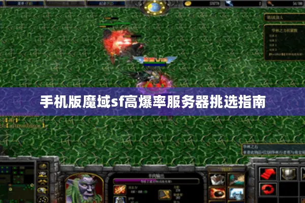 手机版魔域sf高爆率服务器挑选指南