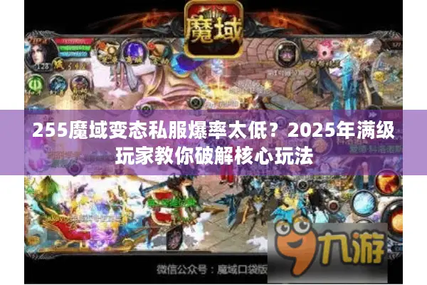 255魔域变态私服爆率太低？2025年满级玩家教你破解核心玩法