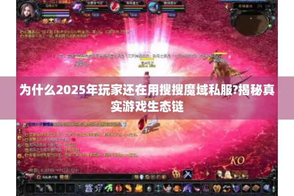 为什么2025年玩家还在用搜搜魔域私服?揭秘真实游戏生态链