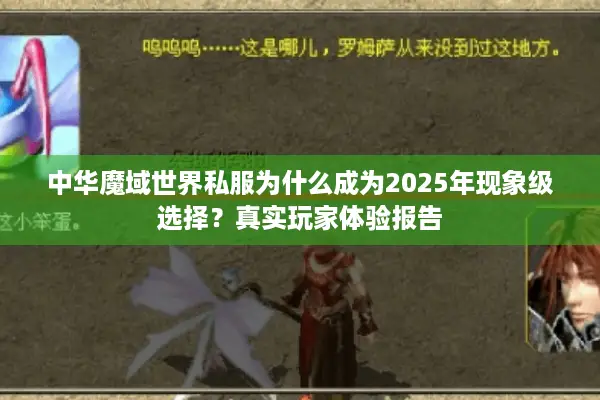 中华魔域世界私服为什么成为2025年现象级选择？真实玩家体验报告
