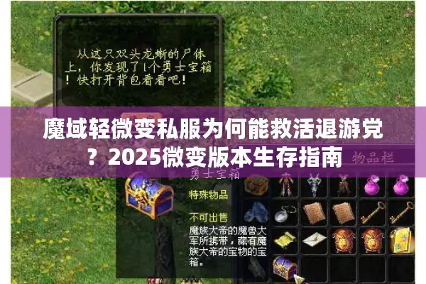 魔域轻微变私服为何能救活退游党？2025微变版本生存指南