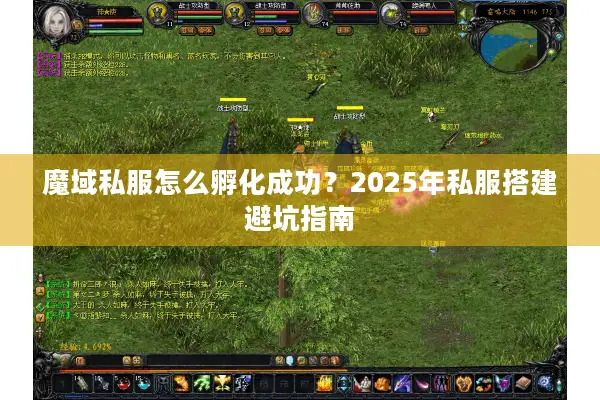 魔域私服怎么孵化成功？2025年私服搭建避坑指南